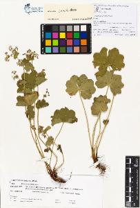 SW_BNB_s3070-00255_IMG-0000000001
