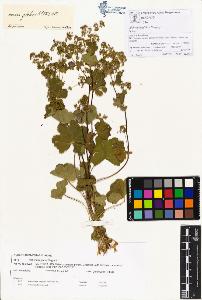 SW_BNB_s3070-00257_IMG-0000000001