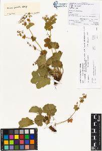 SW_BNB_s3070-00259_IMG-0000000001