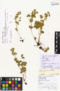SW_BNB_s3070-00261_IMG-0000000001