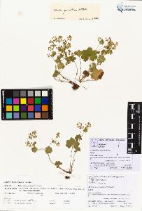 SW_BNB_s3070-00262_IMG-0000000001
