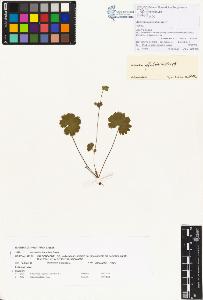 SW_BNB_s3070-00263_IMG-0000000001