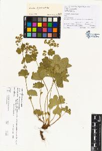 SW_BNB_s3070-00265_IMG-0000000001