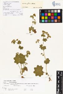 SW_BNB_s3070-00267_IMG-0000000001