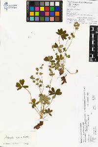 SW_BNB_s3070-00268_IMG-0000000001