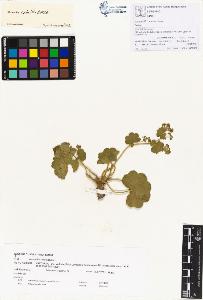 SW_BNB_s3070-00269_IMG-0000000001