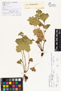 SW_BNB_s3070-00270_IMG-0000000001