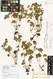 SW_BNB_s3070-00273_IMG-0000000001