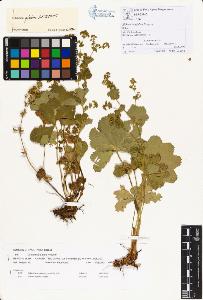 SW_BNB_s3070-00275_IMG-0000000001
