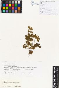 SW_BNB_s3070-00276_IMG-0000000001