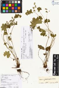 SW_BNB_s3070-00277_IMG-0000000001
