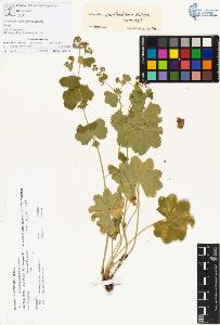SW_BNB_s3070-00278_IMG-0000000001