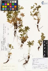 SW_BNB_s3070-00281_IMG-0000000001