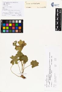 SW_BNB_s3070-00283_IMG-0000000001