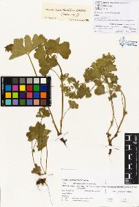 SW_BNB_s3070-00284_IMG-0000000001