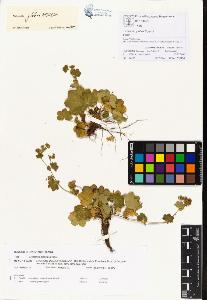 SW_BNB_s3070-00287_IMG-0000000001