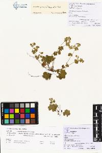 SW_BNB_s3070-00289_IMG-0000000001