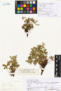 SW_BNB_s3070-00291_IMG-0000000001