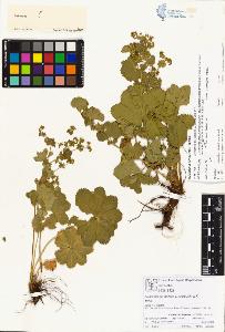 SW_BNB_s3070-00292_IMG-0000000001