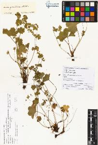 SW_BNB_s3070-00296_IMG-0000000001
