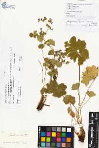 SW_BNB_s3070-00297_IMG-0000000001