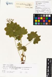SW_BNB_s3070-00303_IMG-0000000001
