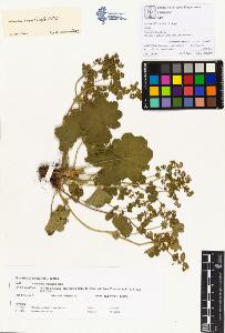 SW_BNB_s3070-00305_IMG-0000000001
