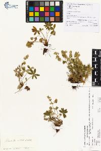 SW_BNB_s3070-00306_IMG-0000000001