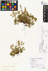 SW_BNB_s3070-00307_IMG-0000000001
