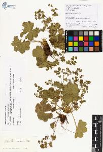 SW_BNB_s3070-00308_IMG-0000000001