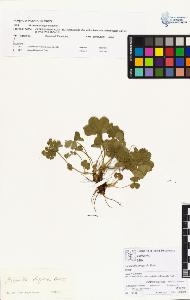 SW_BNB_s3070-00310_IMG-0000000001