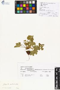 SW_BNB_s3070-00311_IMG-0000000001