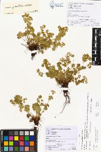 SW_BNB_s3070-00313_IMG-0000000001