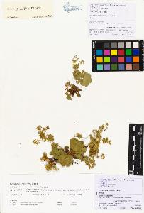 SW_BNB_s3070-00314_IMG-0000000001