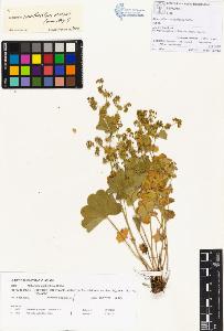SW_BNB_s3070-00316_IMG-0000000001