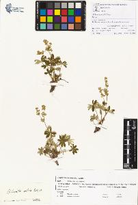 SW_BNB_s3070-00317_IMG-0000000001