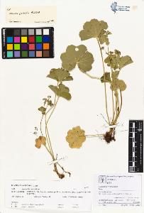 SW_BNB_s3070-00318_IMG-0000000001