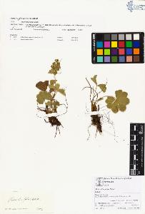 SW_BNB_s3070-00319_IMG-0000000001