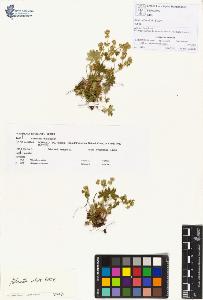 SW_BNB_s3070-00320_IMG-0000000001