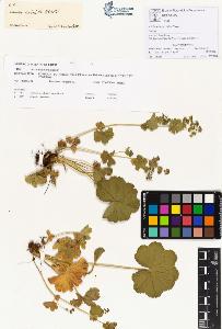 SW_BNB_s3070-00321_IMG-0000000001