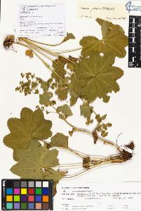 SW_BNB_s3070-00324_IMG-0000000001