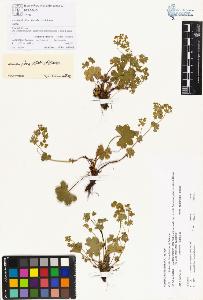 SW_BNB_s3070-00325_IMG-0000000001