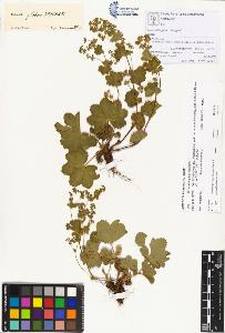 SW_BNB_s3070-00327_IMG-0000000001
