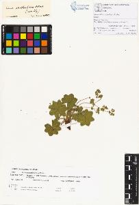 SW_BNB_s3070-00329_IMG-0000000001