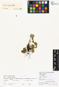 SW_BNB_s3070-00330_IMG-0000000001