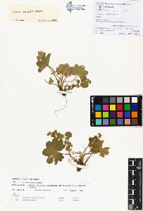 SW_BNB_s3070-00333_IMG-0000000001