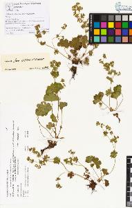 SW_BNB_s3070-00336_IMG-0000000001