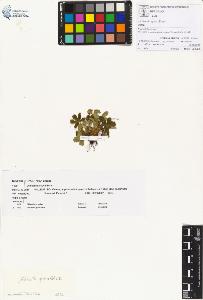 SW_BNB_s3070-00339_IMG-0000000001