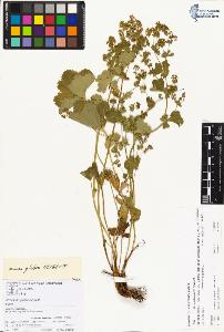 SW_BNB_s3070-00340_IMG-0000000001