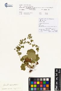 SW_BNB_s3070-00345_IMG-0000000001